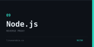 تشغيل موقع NodeJS لى خادم Nginx